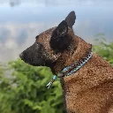 20260512_084525.webp